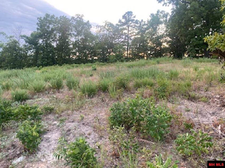 Bull Shoals, AR 72619,Lots 21 & 22 SHORELINE DRIVE
