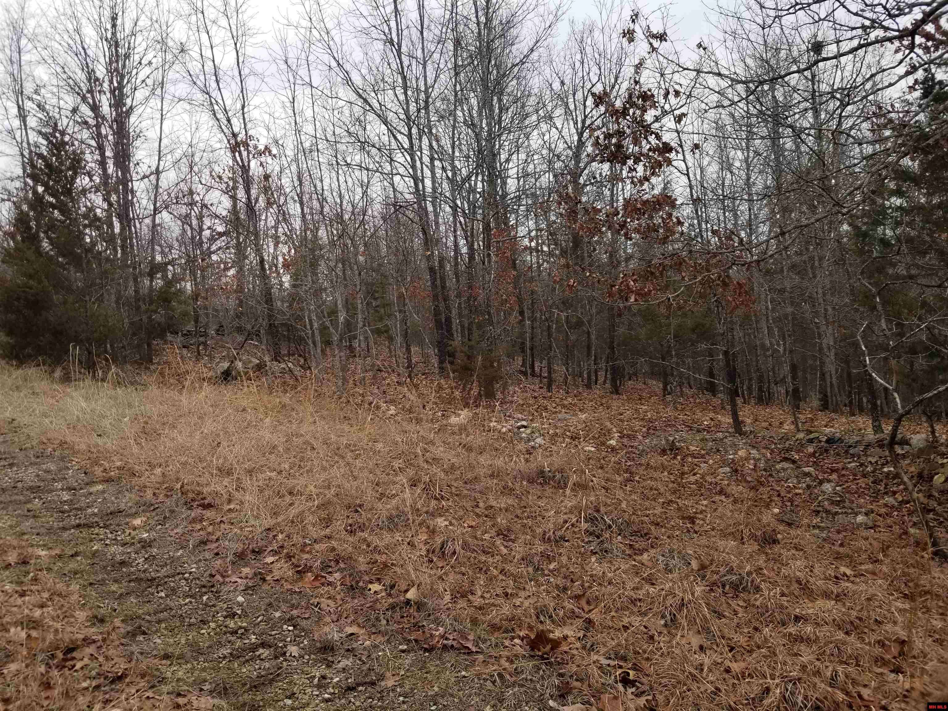 Mountain Home, AR 72653,Lot 14 BUCKHEAD LANE