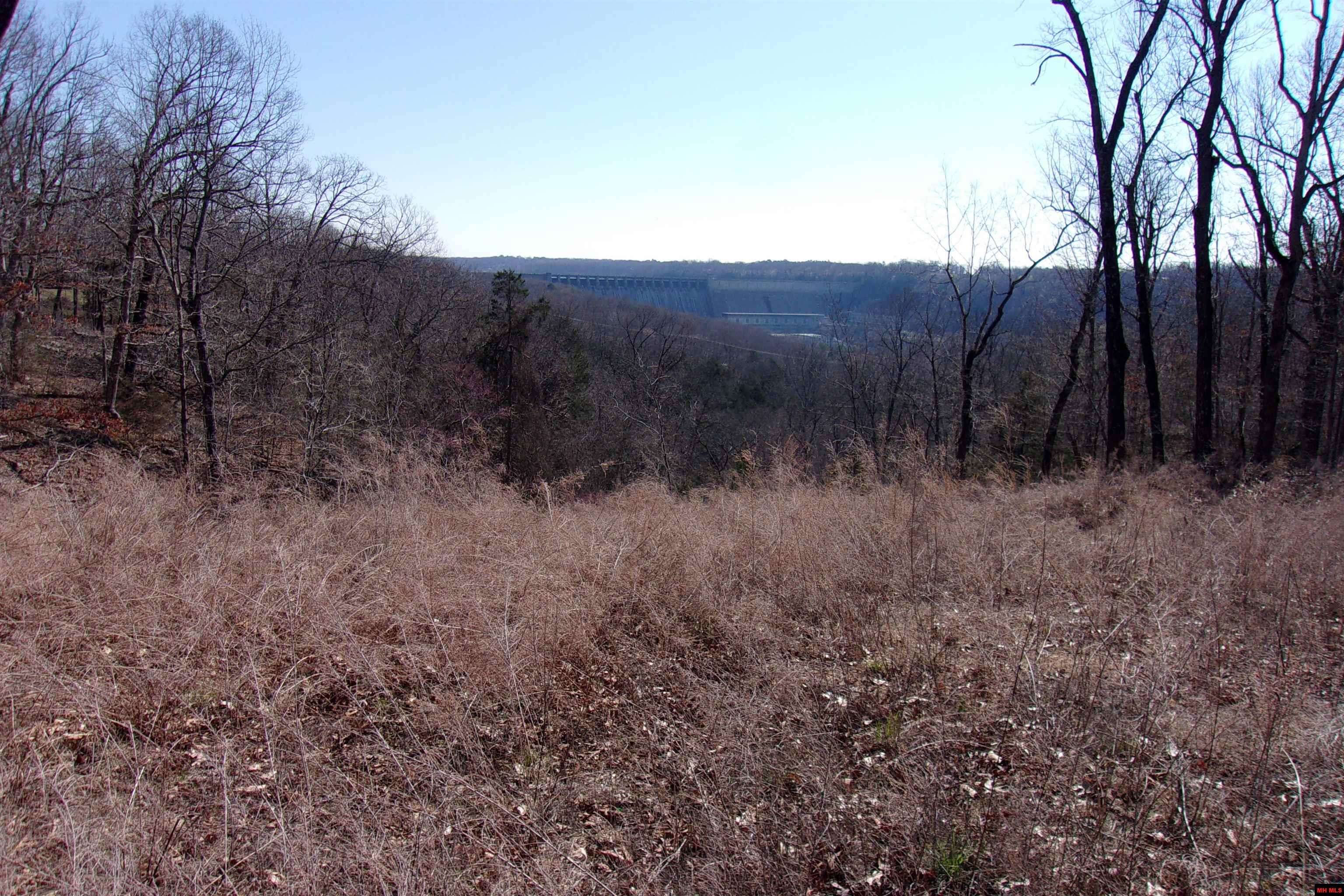 Bull Shoals, AR 72619-0000,Lot 15 COUNTRY CLUB DRIVE