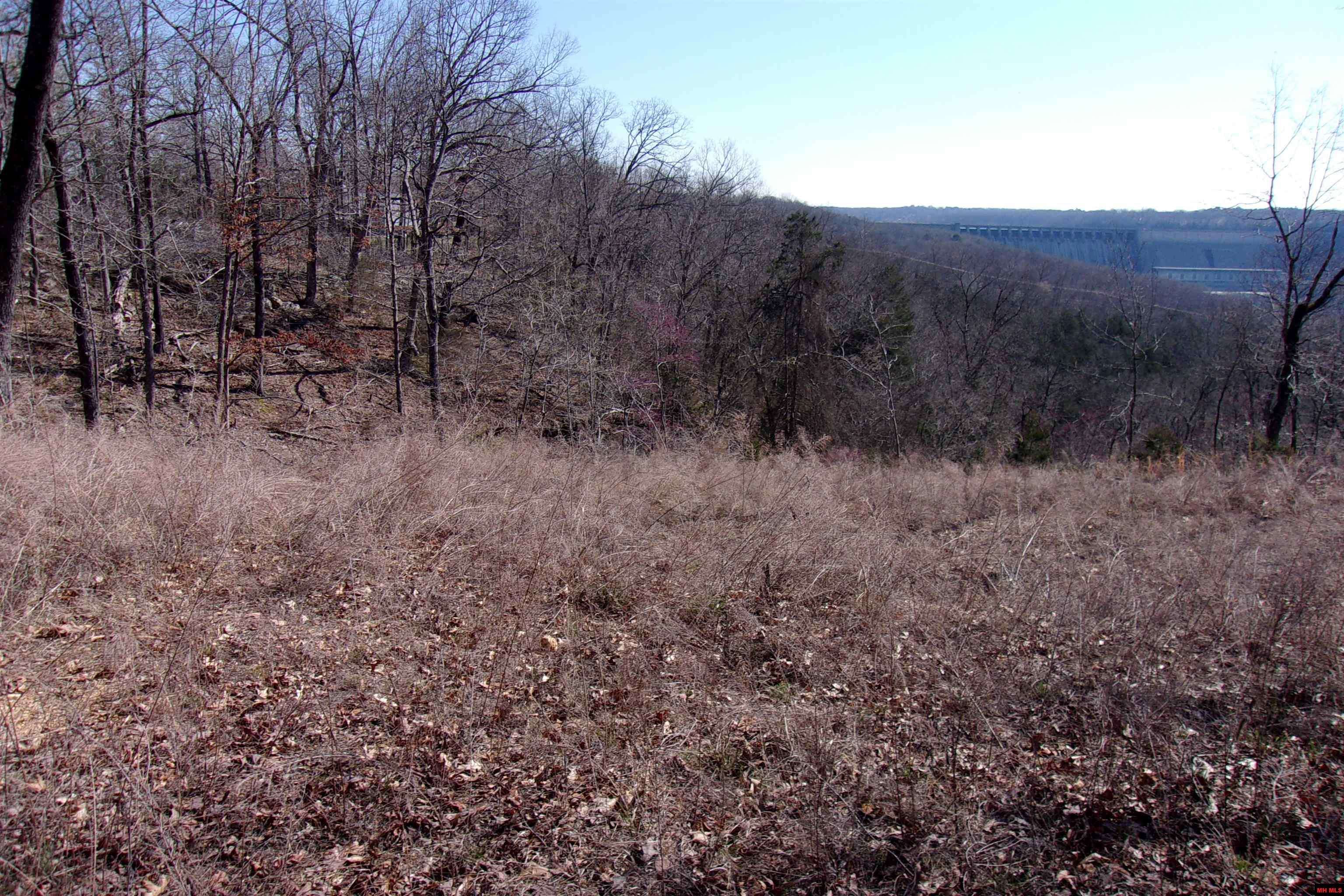Bull Shoals, AR 72619-0000,Lot 10 COUNTRY CLUB DRIVE