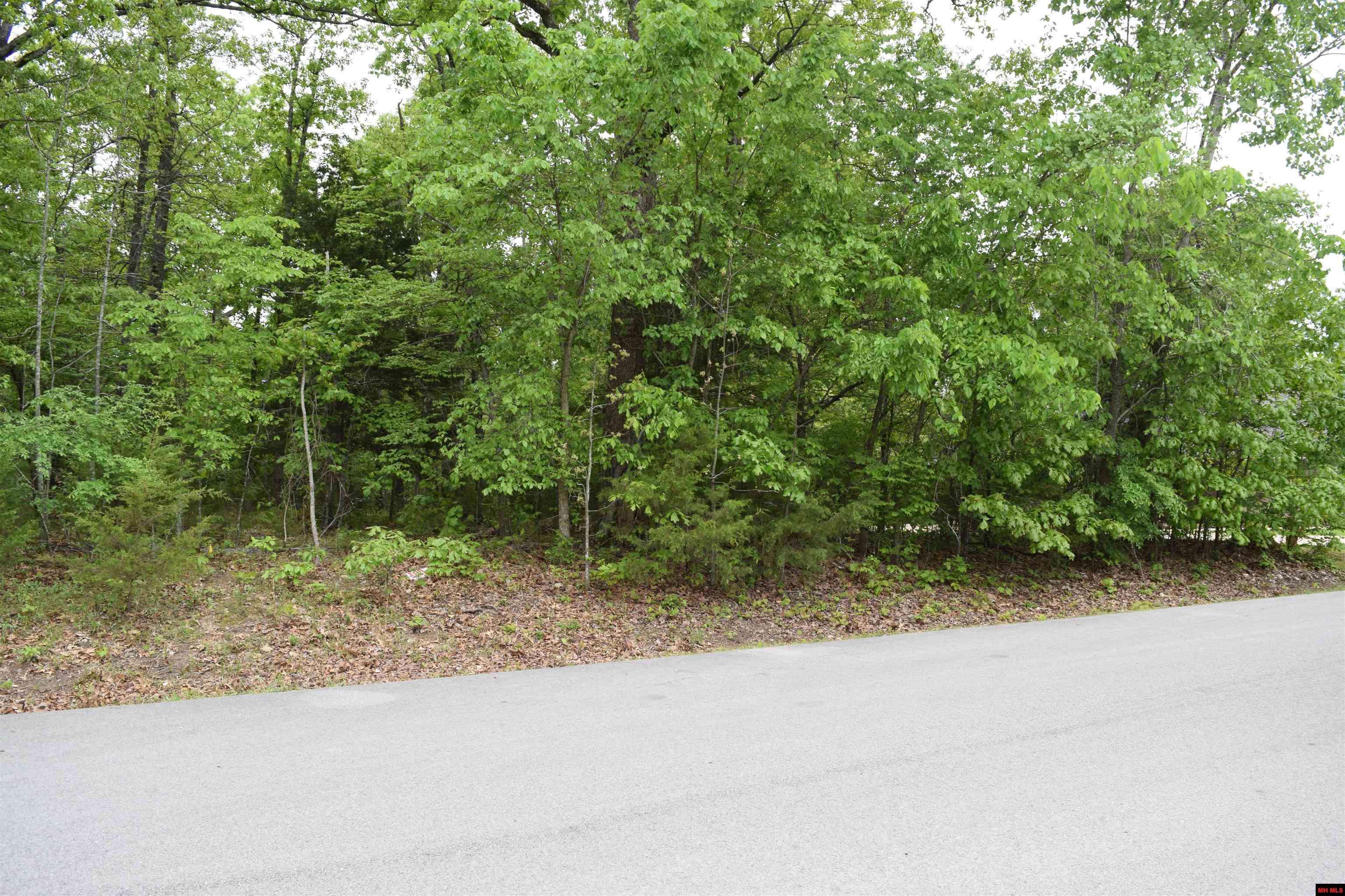 Mountain Home, AR 72653,Lot 15 BRECKENRIDGE COURT