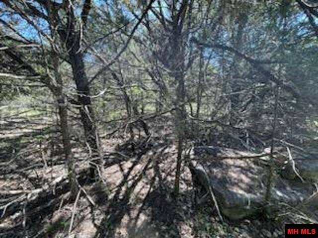 Lead Hill, AR 72644,Block 4, Lot 19 MC 2048
