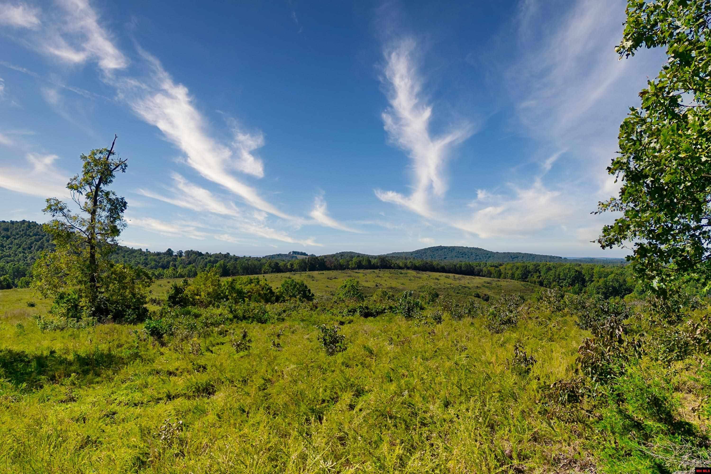 Mountain Home, AR 72653,001-09717-000 CR 18