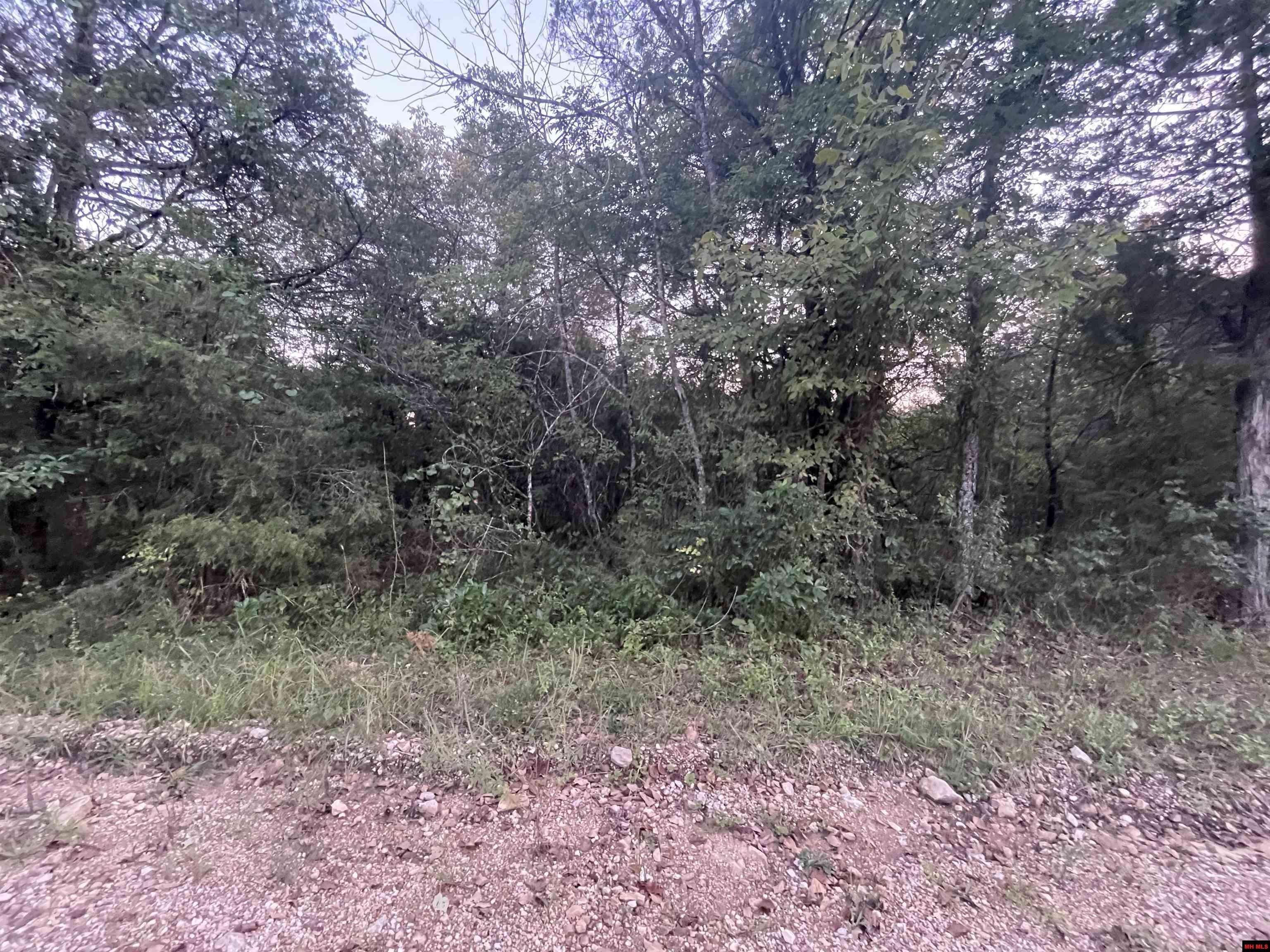 Diamond City, AR 72630,Lot 41 CANARY LANE