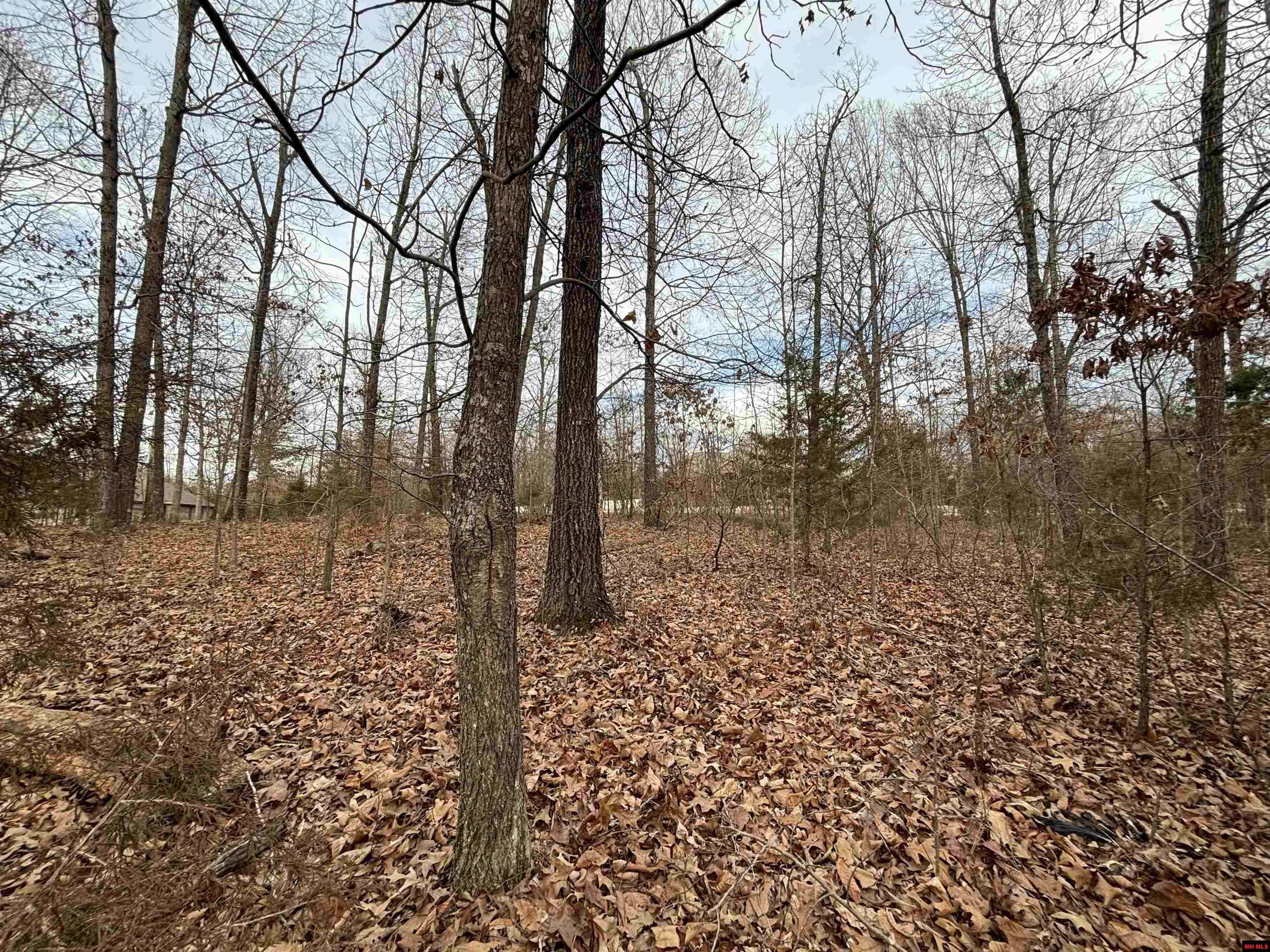 Mountain Home, AR 72653,Lot 7 WINDSOR DRIVE