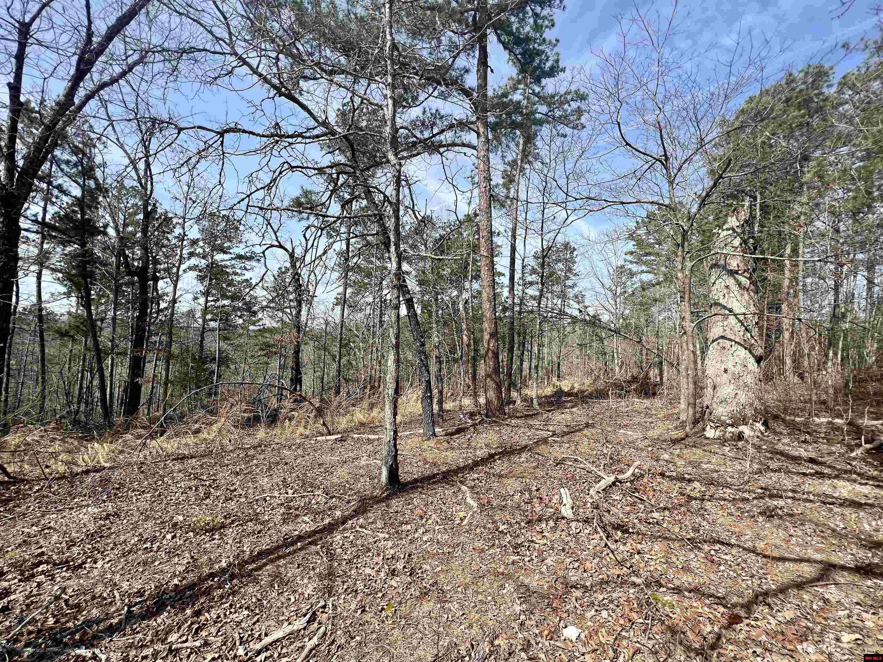 Yellville, AR 72687,Tract 6 RAMBLEWOOD TRAIL