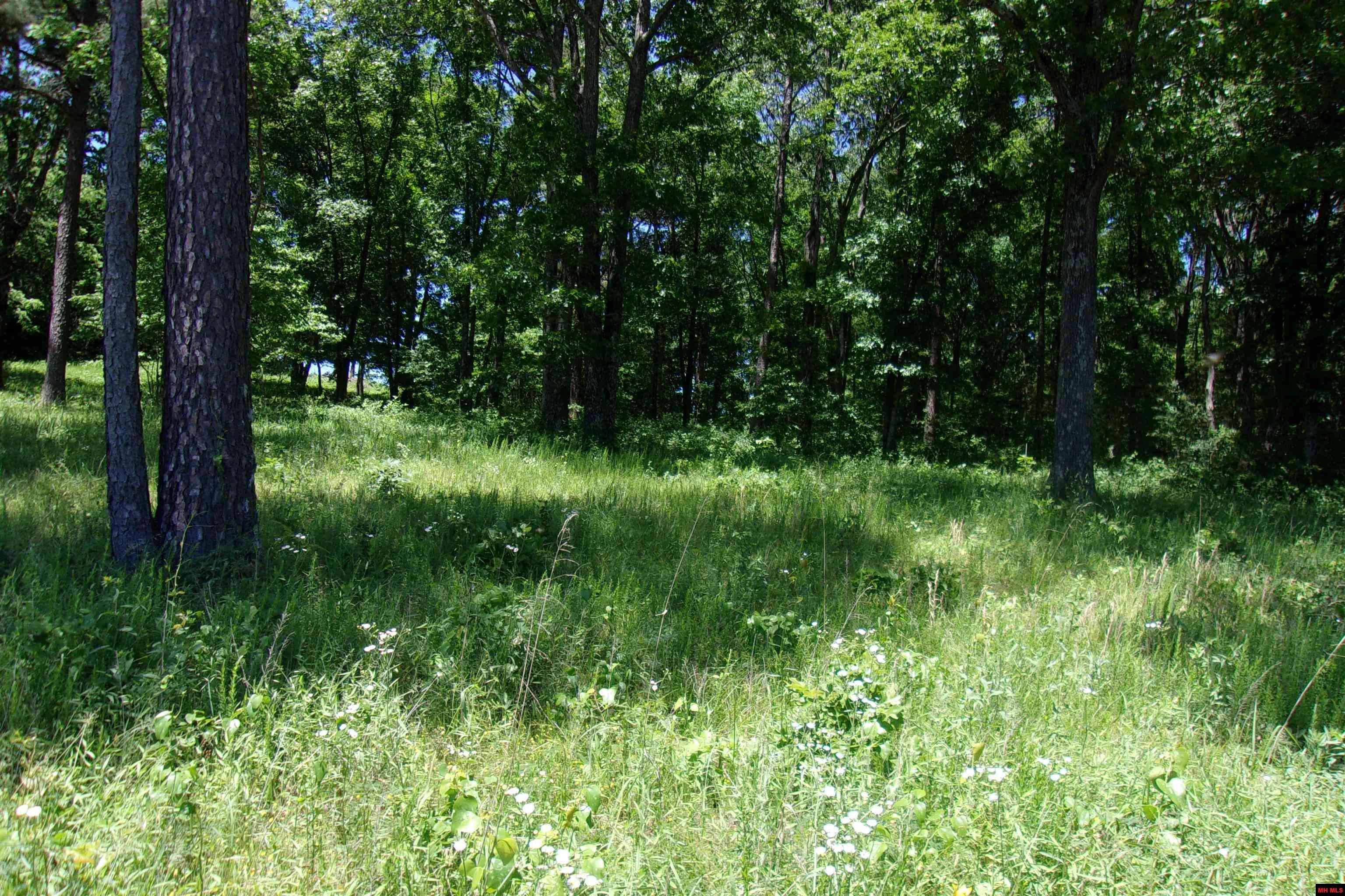 Mountain Home, AR 72653-0000,Lot 9 WHITE BLUFFS COURT