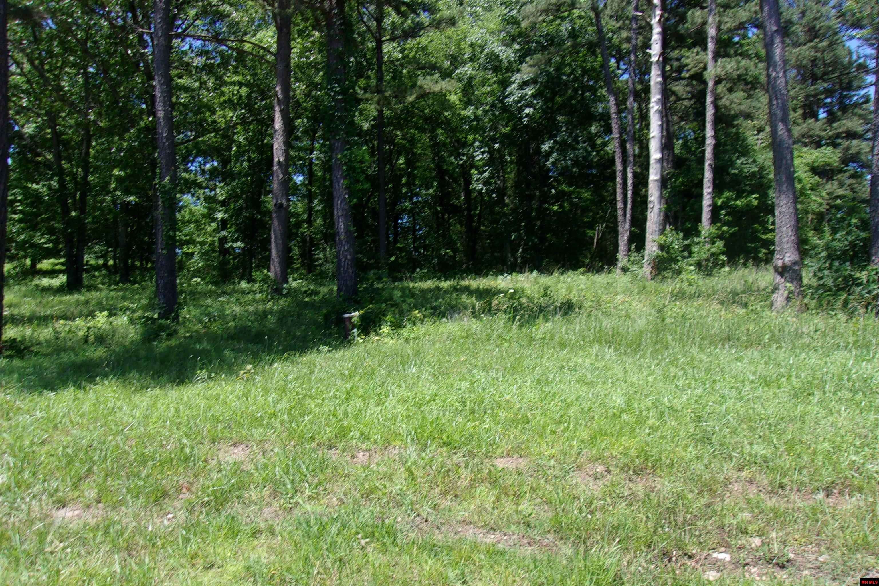 Mountain Home, AR 72653-0000,Lot 9 WHITE BLUFFS COURT