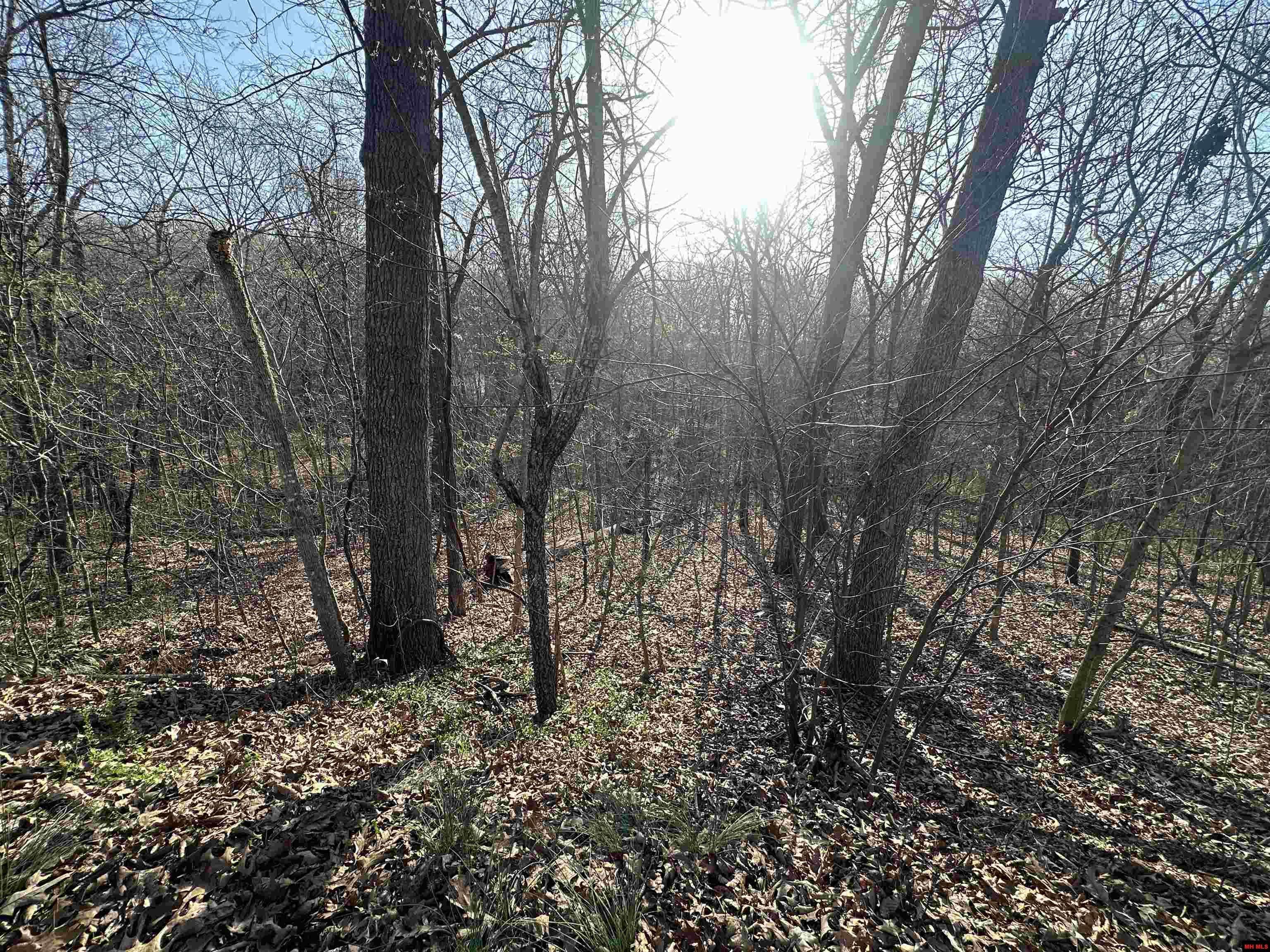 Cherokee Village, AR 72529,268-00601-000 ALTAKIMA CIRCLE