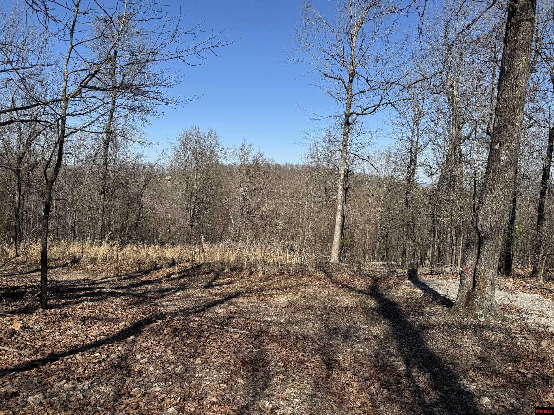 Yellville, AR 72687,Off BACKWAY ROAD