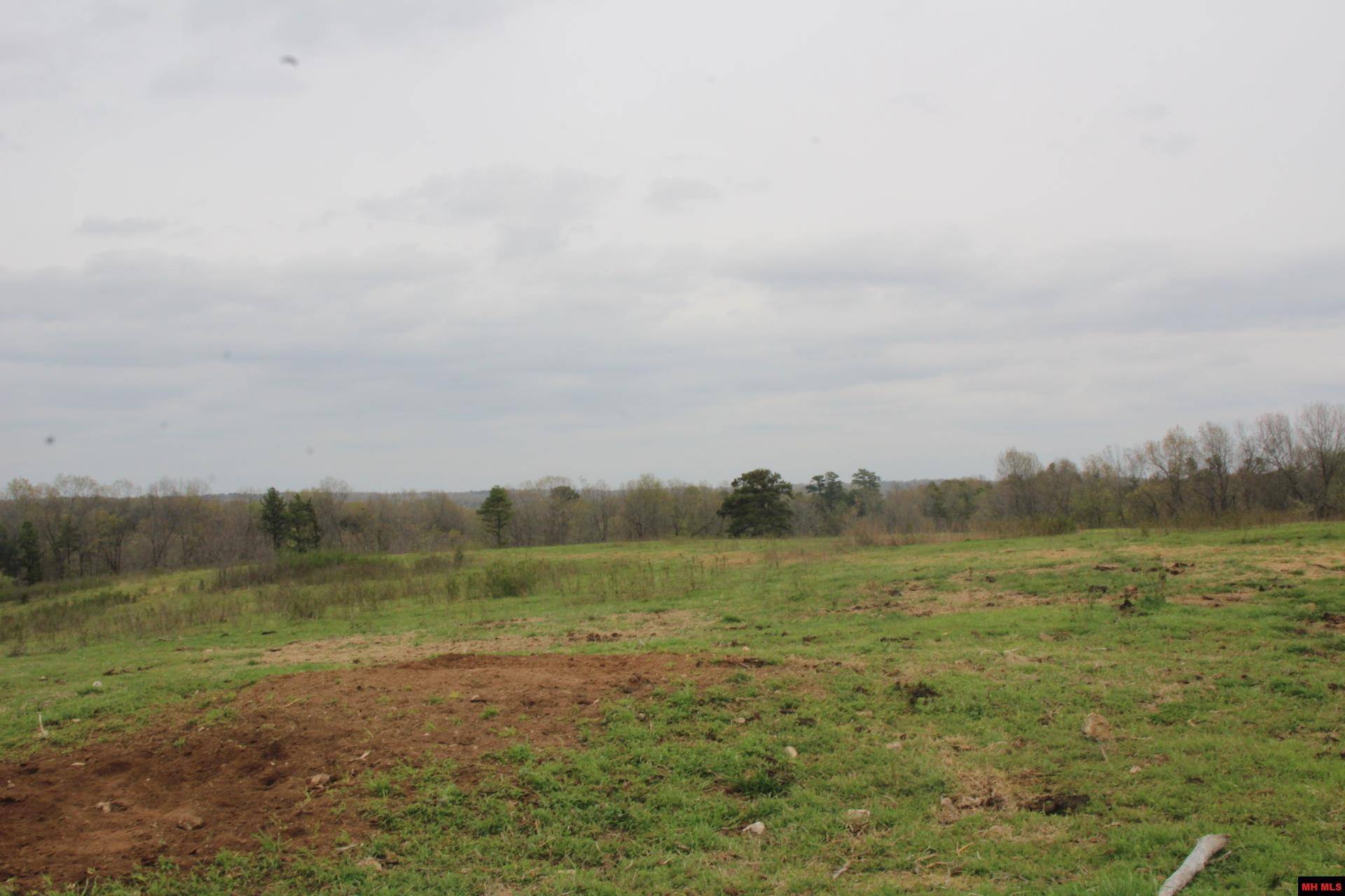 Yellville, AR 72687,001-08184-000 N HWY 125