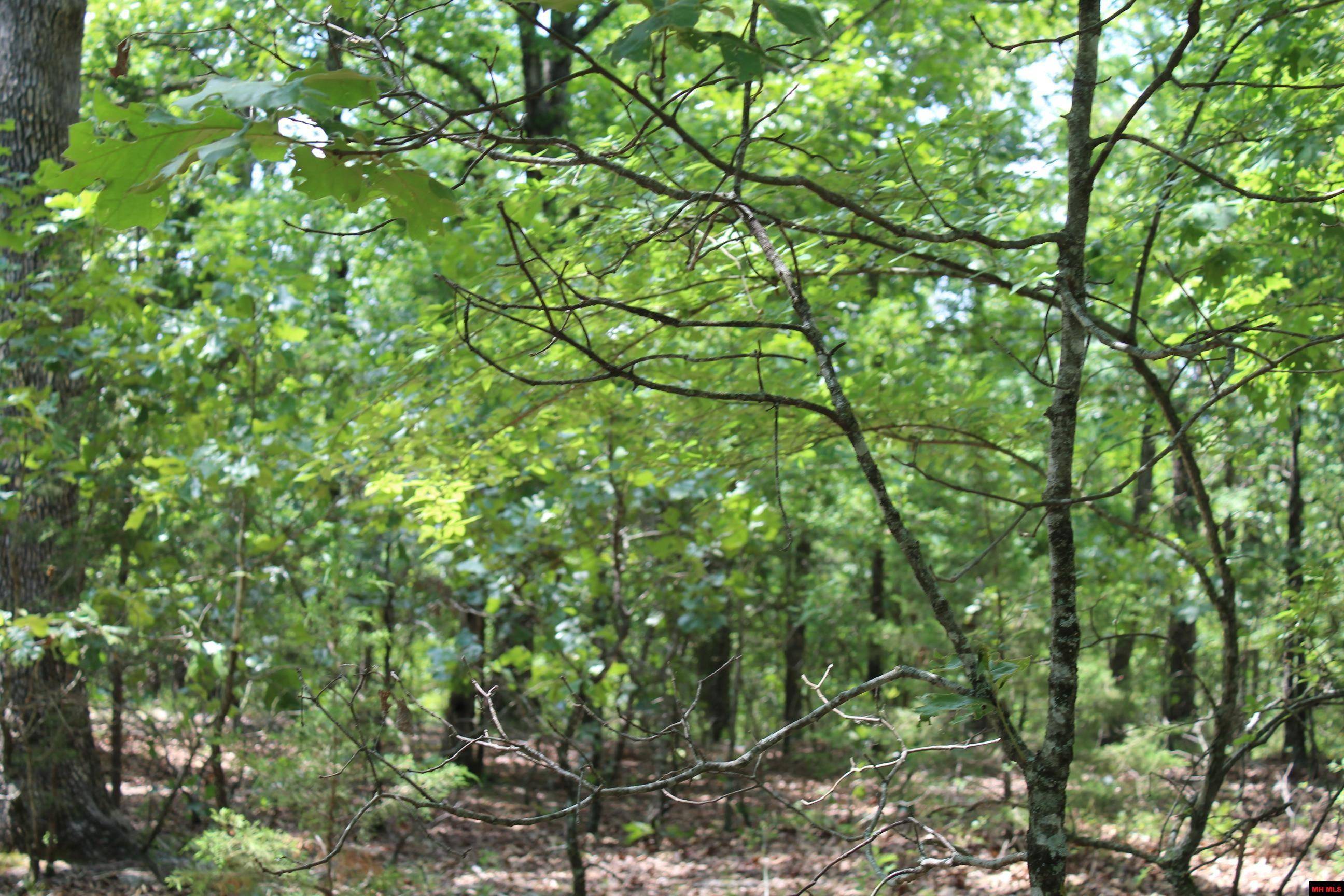 Protem, MO 65733,Lot 6 EAGLE RIDGE ROAD