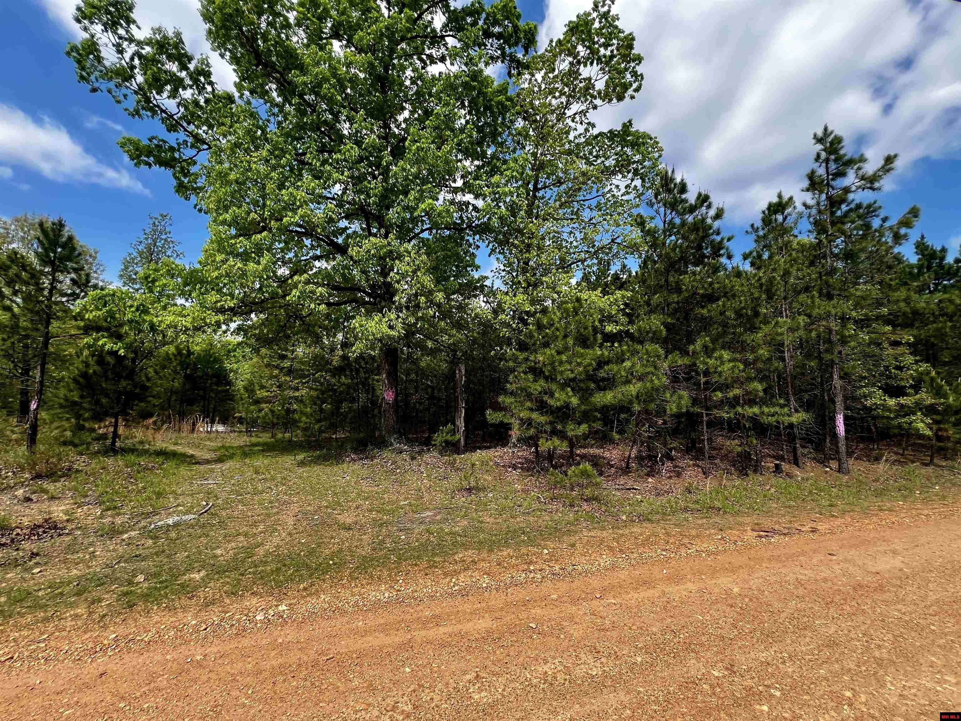 Yellville, AR 72687,001-07983-000 FEE HOLLOW TERRACE