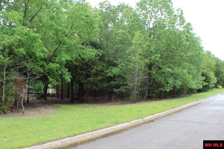 Bull Shoals, AR 72619,760 25327 000 SPRINGFLOWER STREET