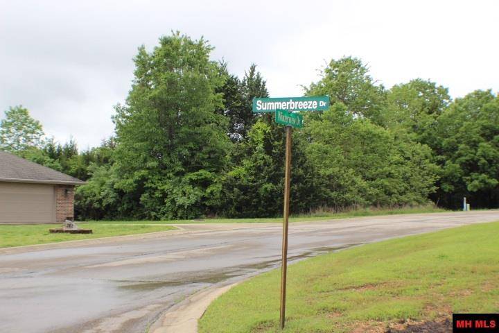 Bull Shoals, AR 72619,760 25327 000 SPRINGFLOWER STREET