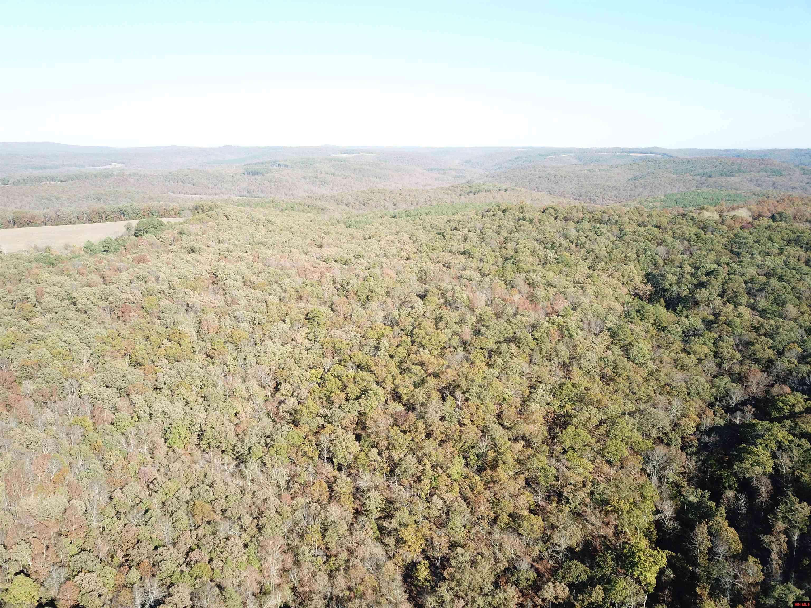 Jerusalem, AR 72080,000-13222-000 DABNEY ROAD