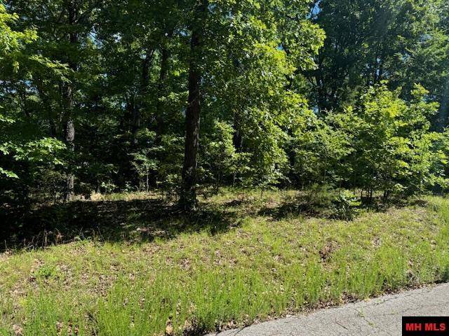 Flippin, AR 72634,528-00030-000 ELLY LANE