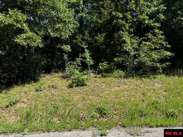 Flippin, AR 72634,528-00030-000 ELLY LANE