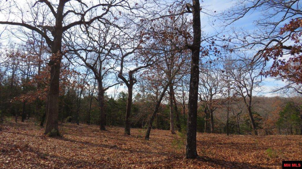 Oakland, AR 72634,Lot 5 BURGGRAF TRAIL