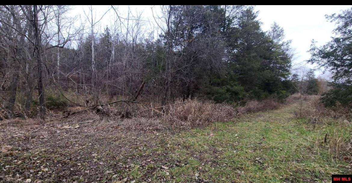 Norfork, AR 72658,001-01616-000 RUSS ROAD