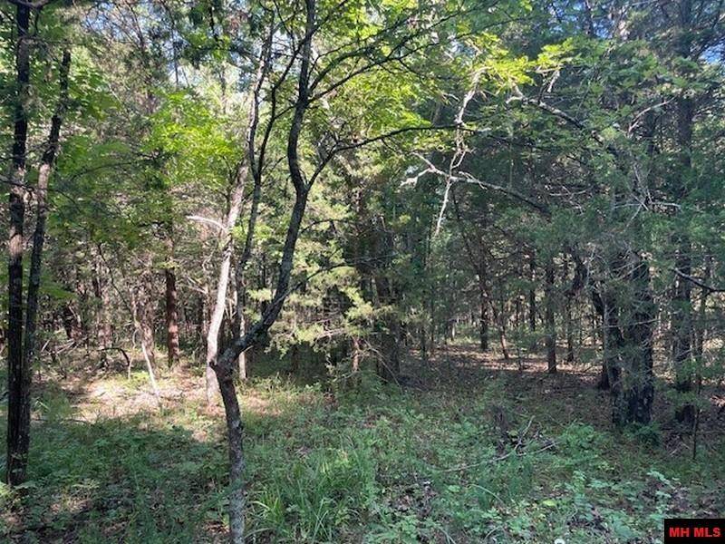 Elizabeth, AR 72531,509 HAND COVE ROAD