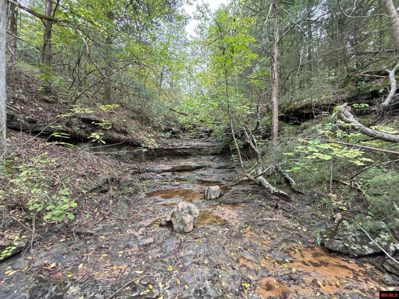 Norfork, AR 72658,001-04254-001 PLUMTREE TRAIL