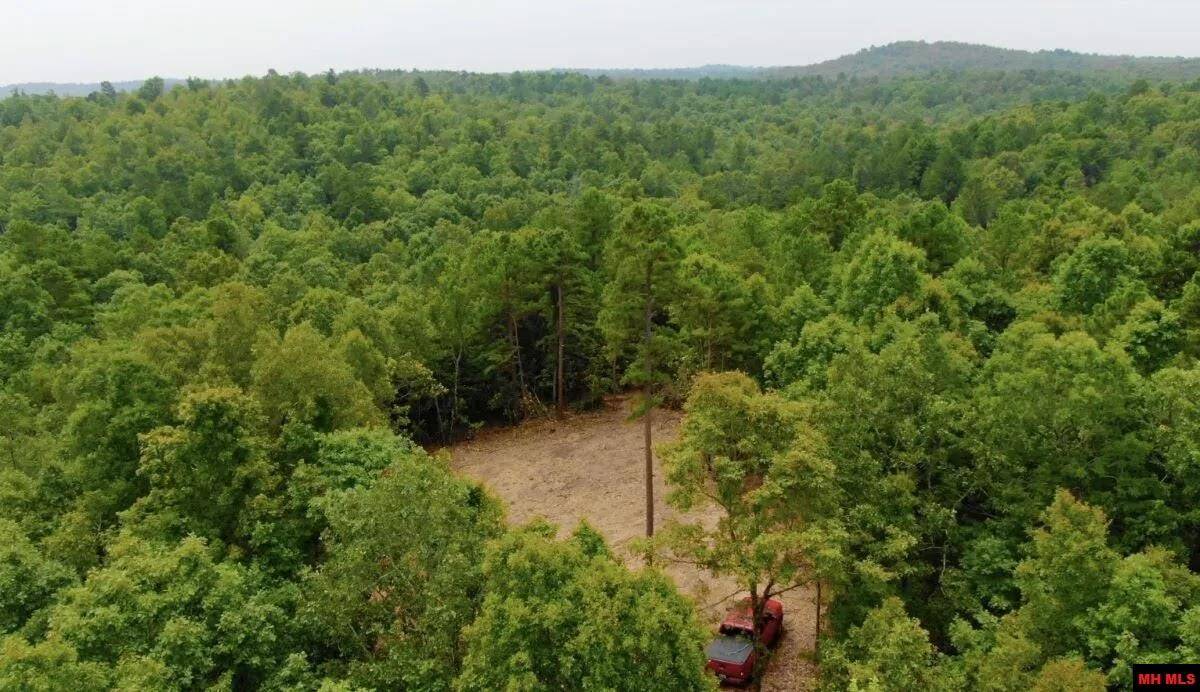 Salem, AR 72576,Tract #18 JUNIPER BERRY ROAD
