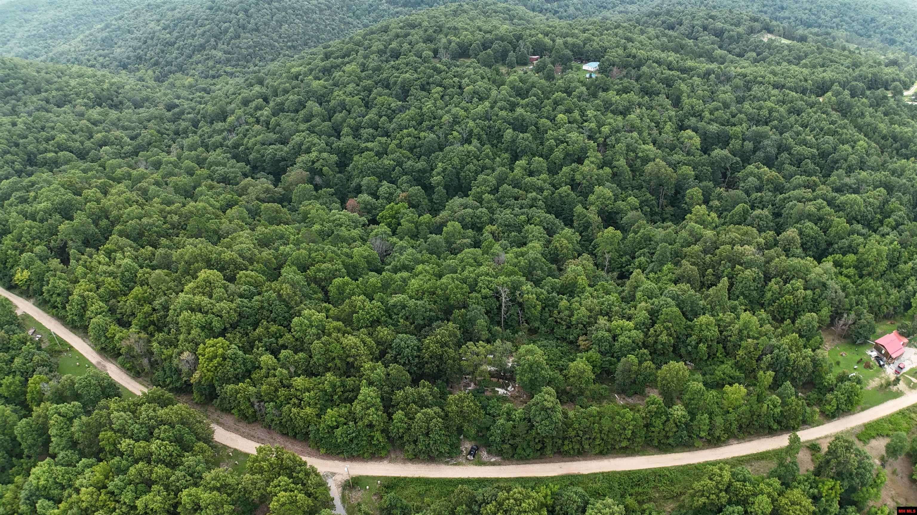 Yellville, AR 72687,1267 BRUSHY FORK ROAD
