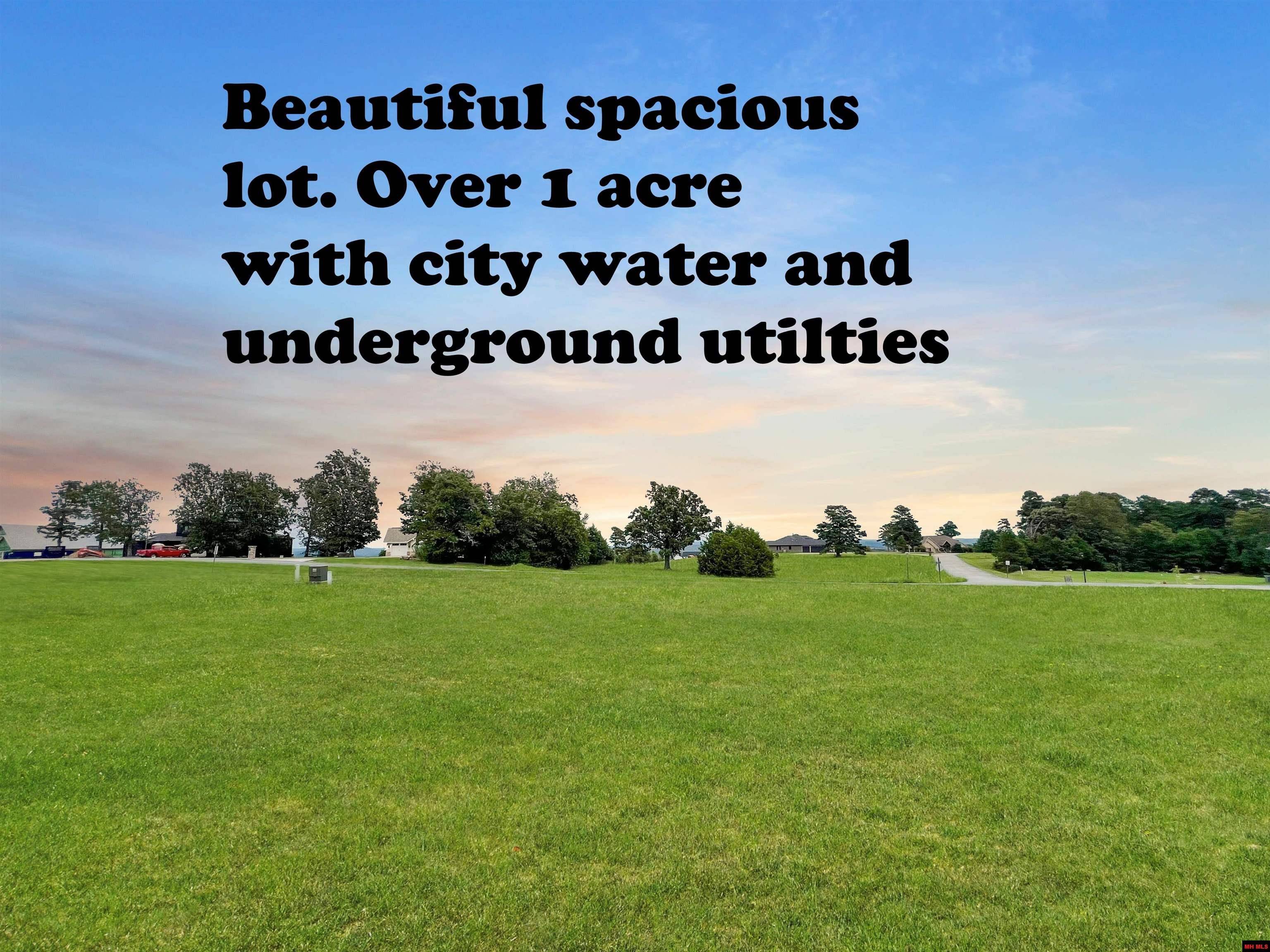 Briarcliff, AR 72653,010-11219-010 SWISS MOUNTAIN DRIVE
