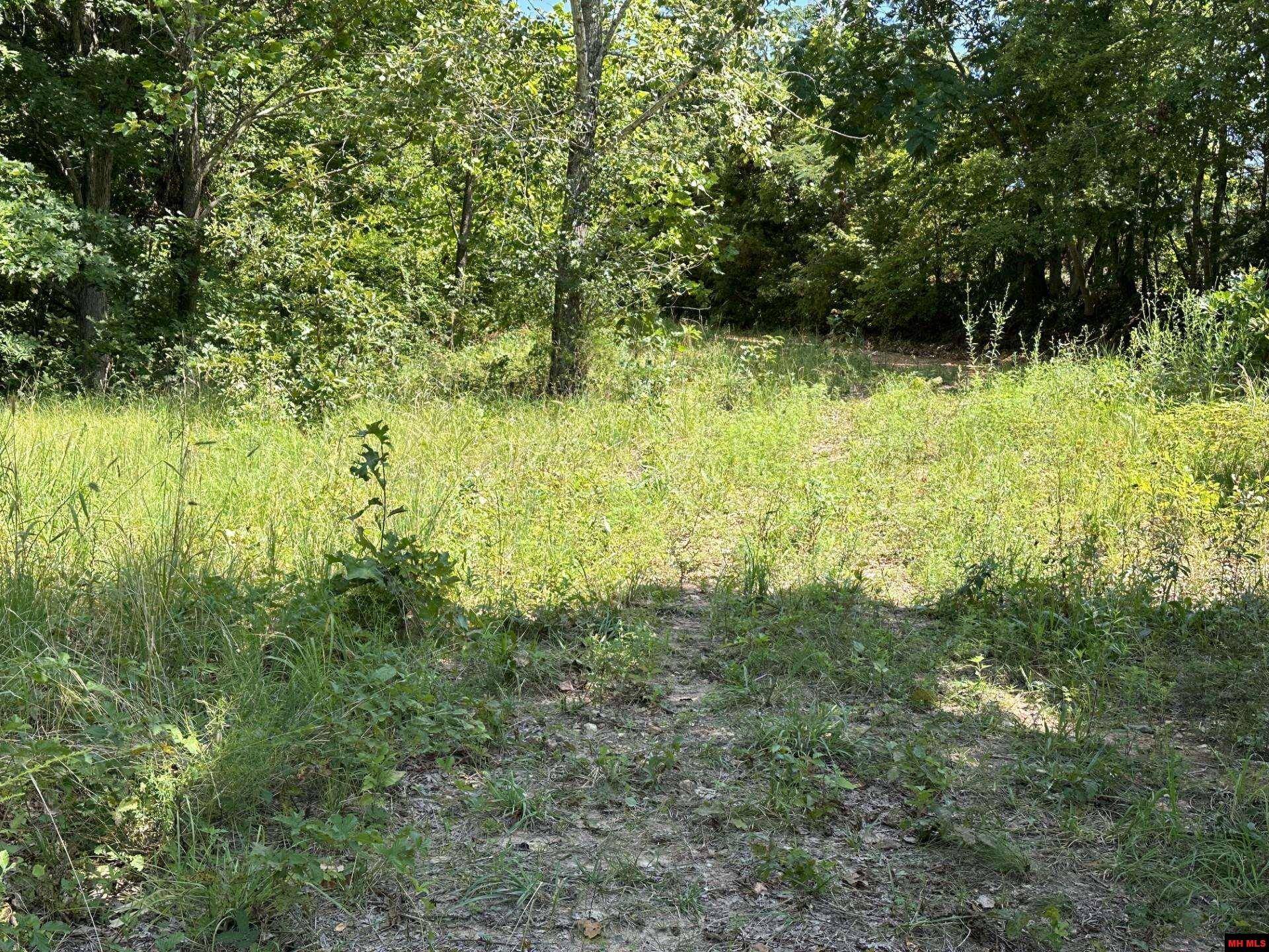 Harriet, AR 72639,001-03473-001 BAMMY LANE