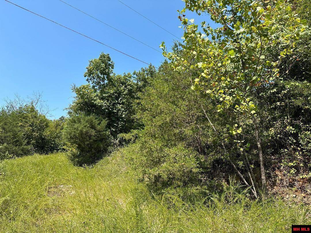 Pyatt, AR 72672,103 PUP MANOR LANE