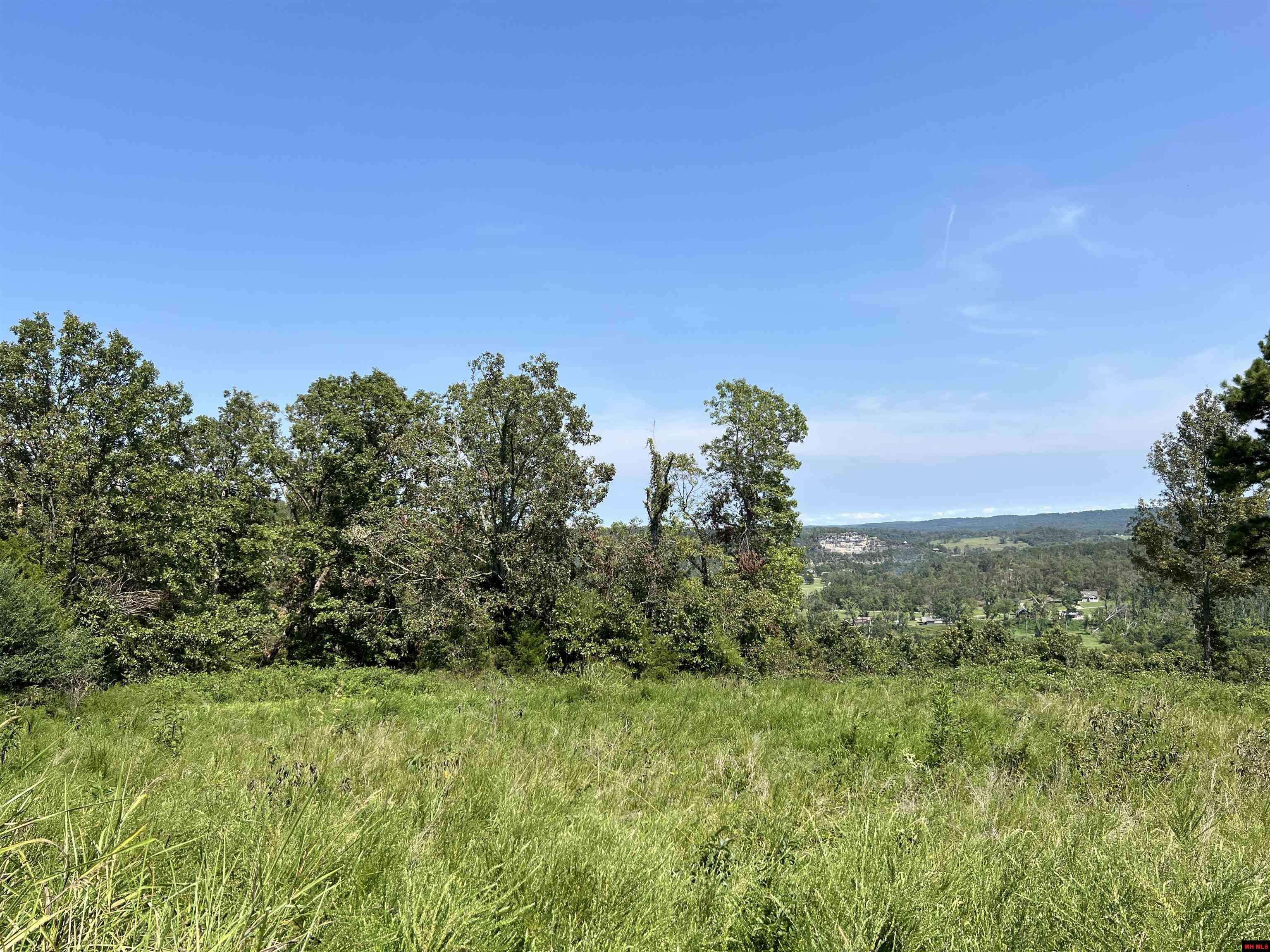 Norfork, AR 72658,002-11229-006 RUSTIC RIDGE DRIVE