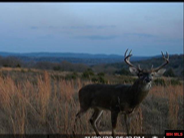 Yellville, AR 72687-0000,001-08321-000 HWY 62/412 WEST