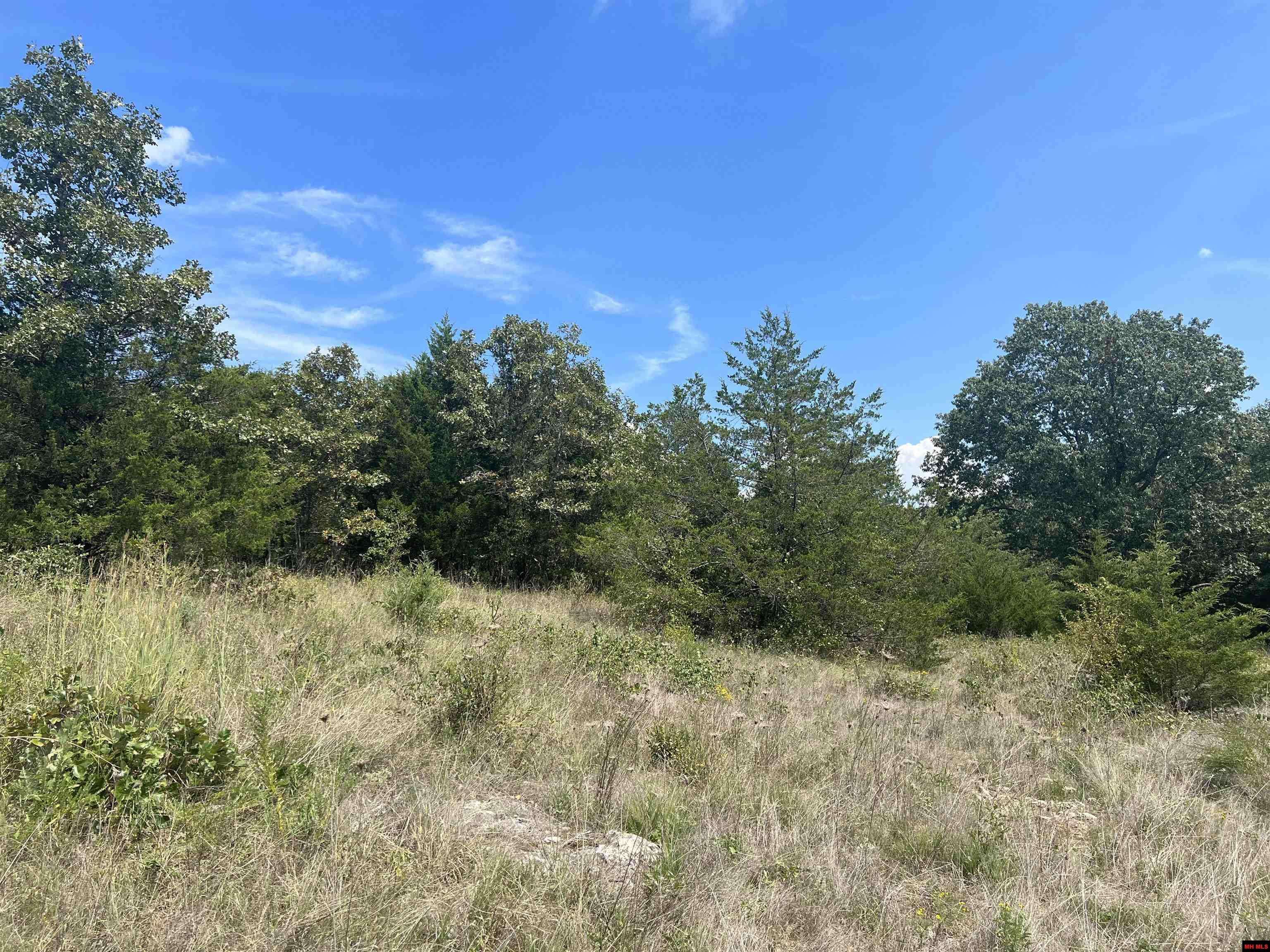 Harrison, AR 72601,020-05503-018 MEADOW RIDGE LANE