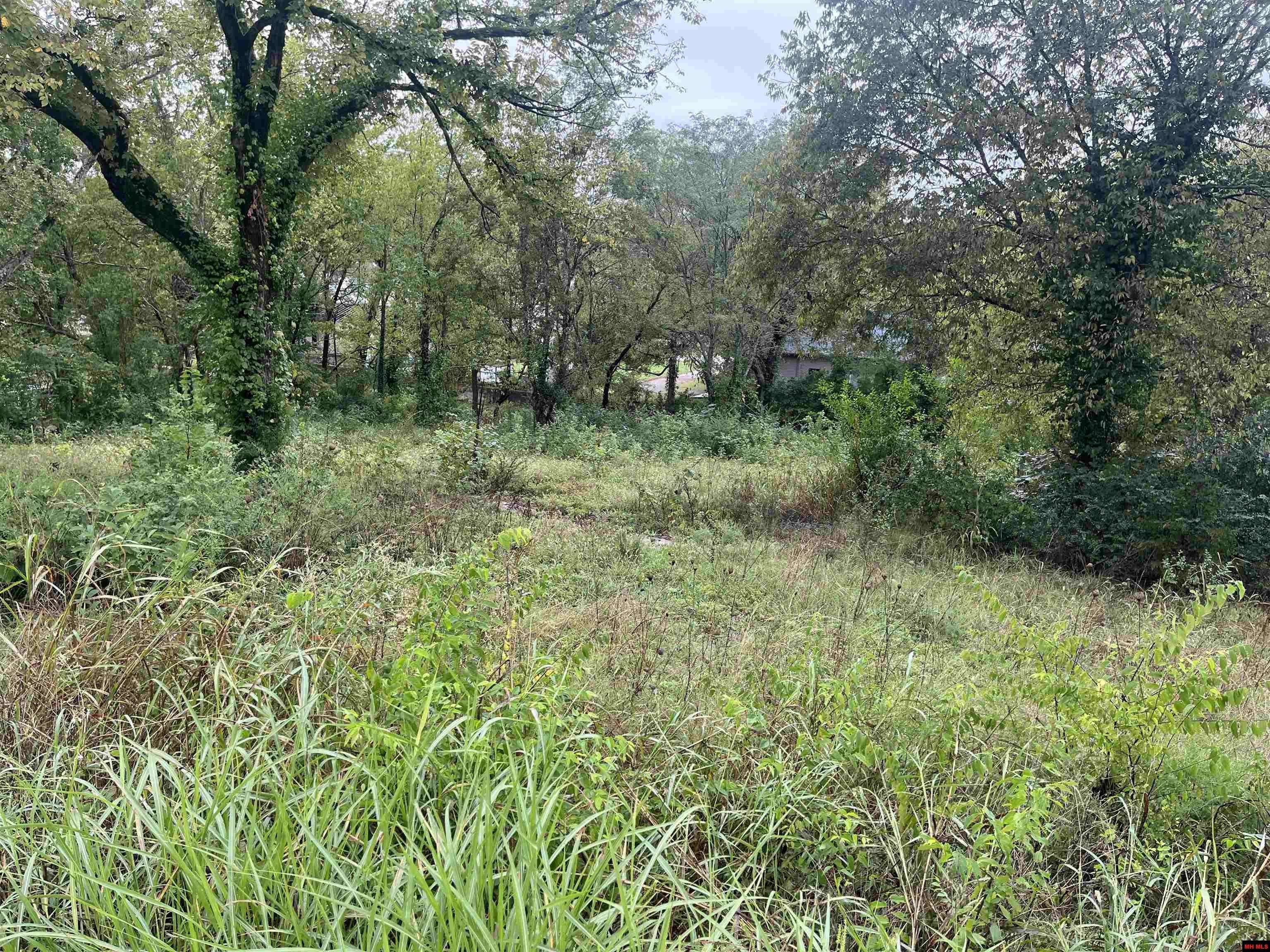 Yellville, AR 72687,300 FALLEN ASH ROAD