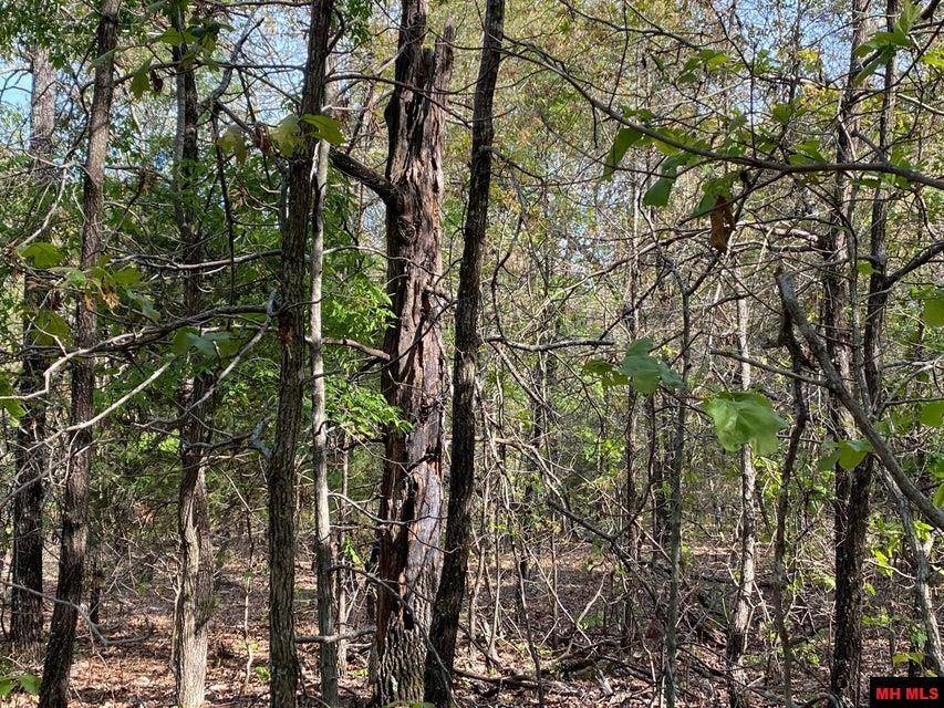 Mammoth Spring, AR 72554-000,001-00890-000 MOONLIGHT ROAD