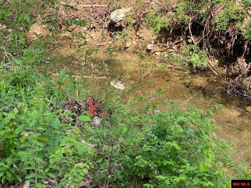 Mammoth Spring, AR 72554-000,001-00890-000 MOONLIGHT ROAD