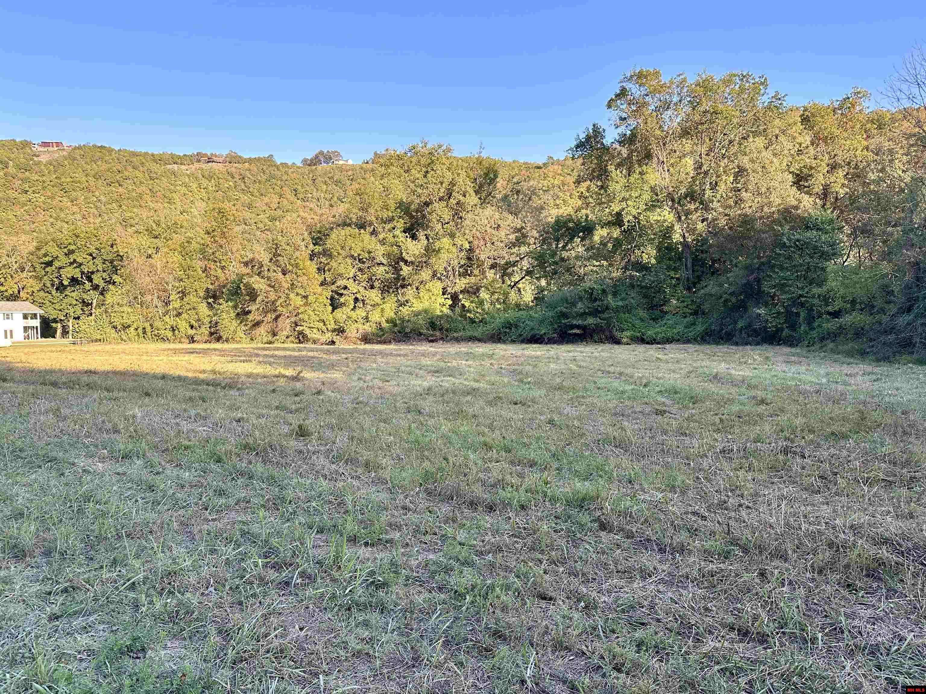 Flippin, AR 72634,Lot 7 RIVERSIDE DRIVE