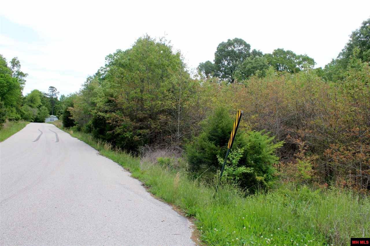 Salesville, AR 72653,Lot 6 FARMER CIRCLE