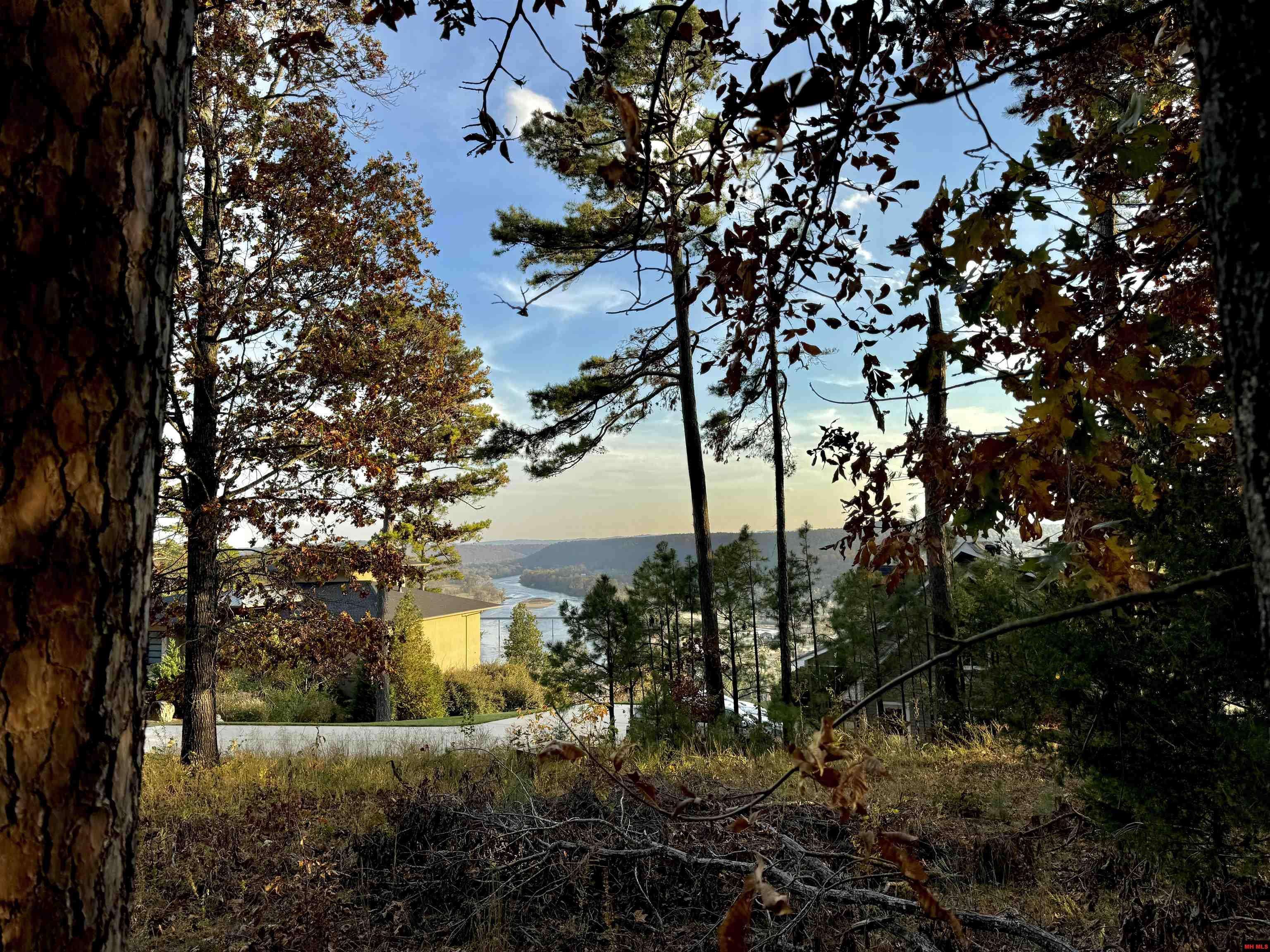 Mountain Home, AR 72653,002-11183-007 WHITE BLUFFS COURT