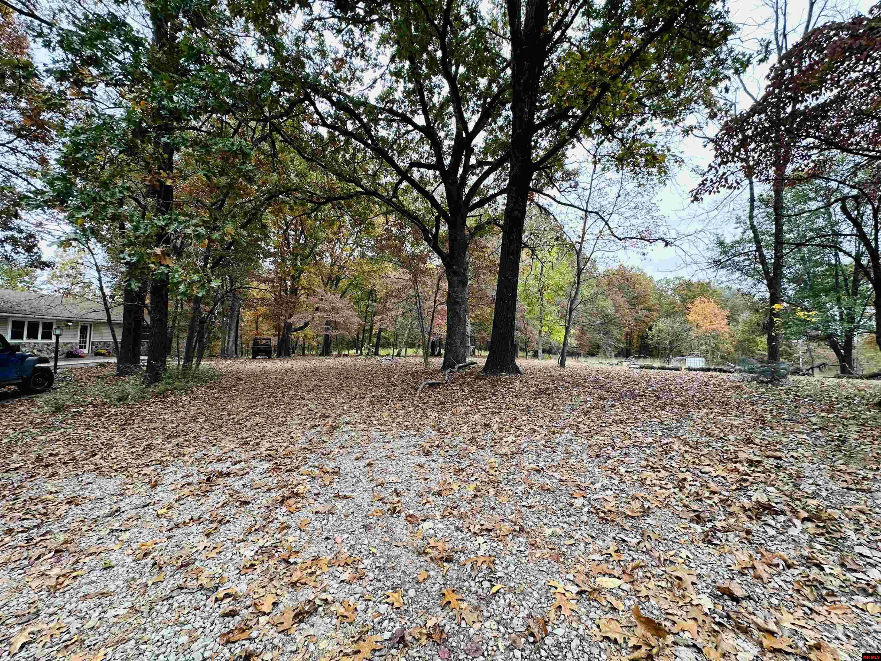 Flippin, AR 72634,64 OTTAWA LANE