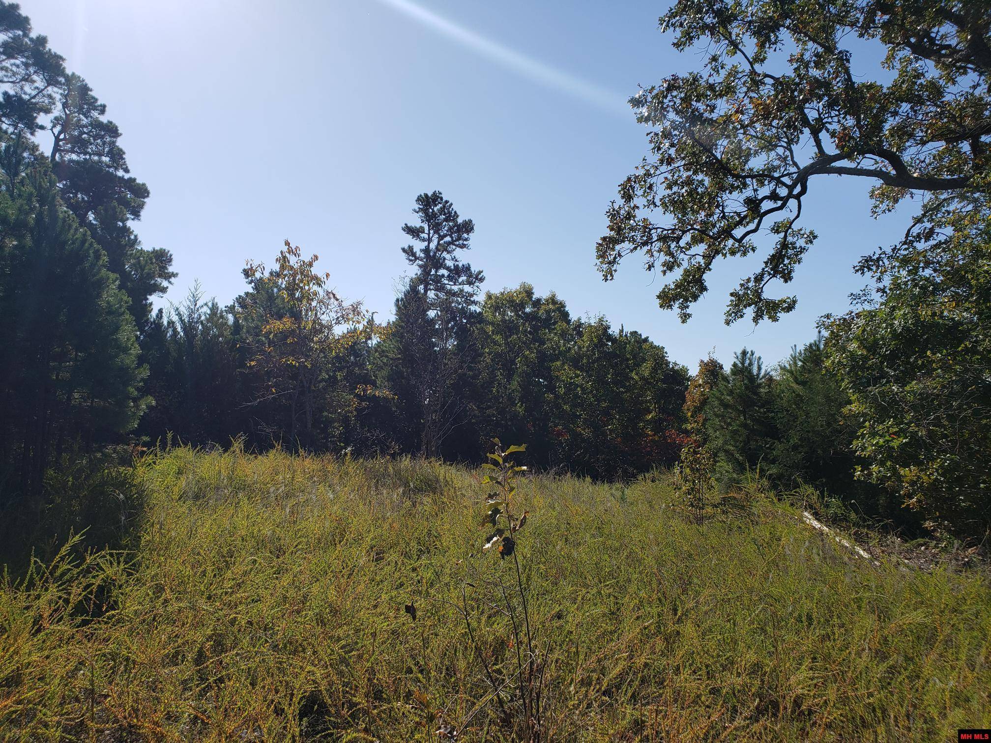 Peel, AR 72668,1008 MC 2084