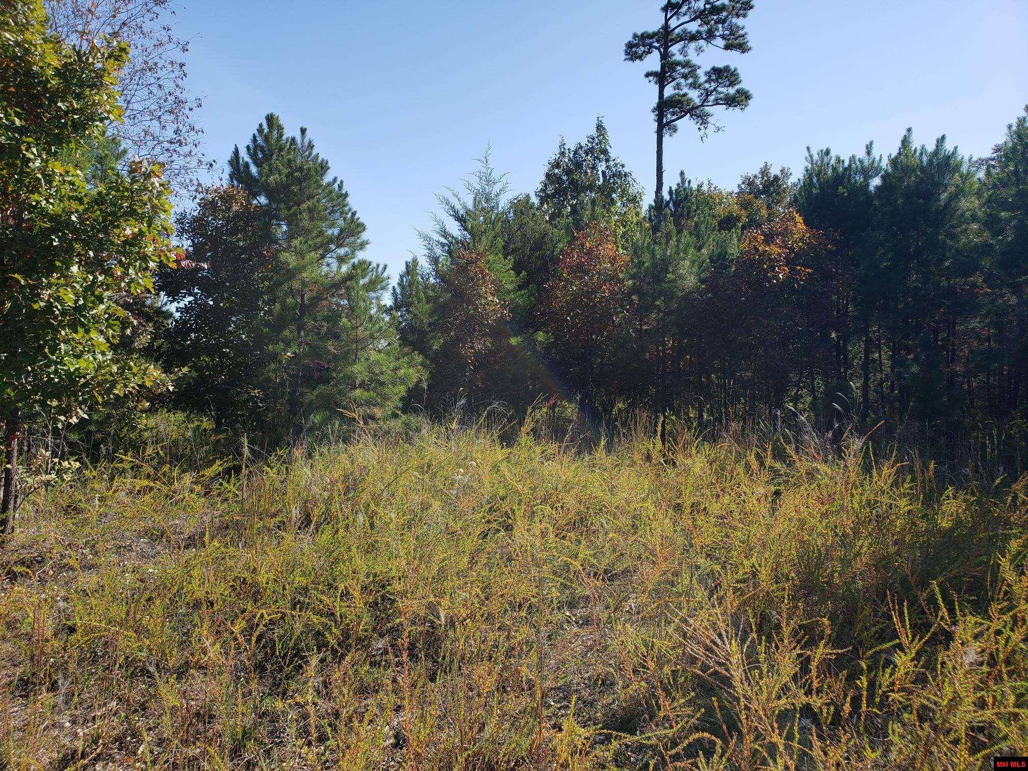 Peel, AR 72668,1008 MC 2084