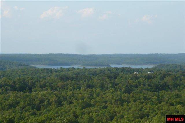 Flippin, AR 72634,Pt of Lot 10 MC 8072