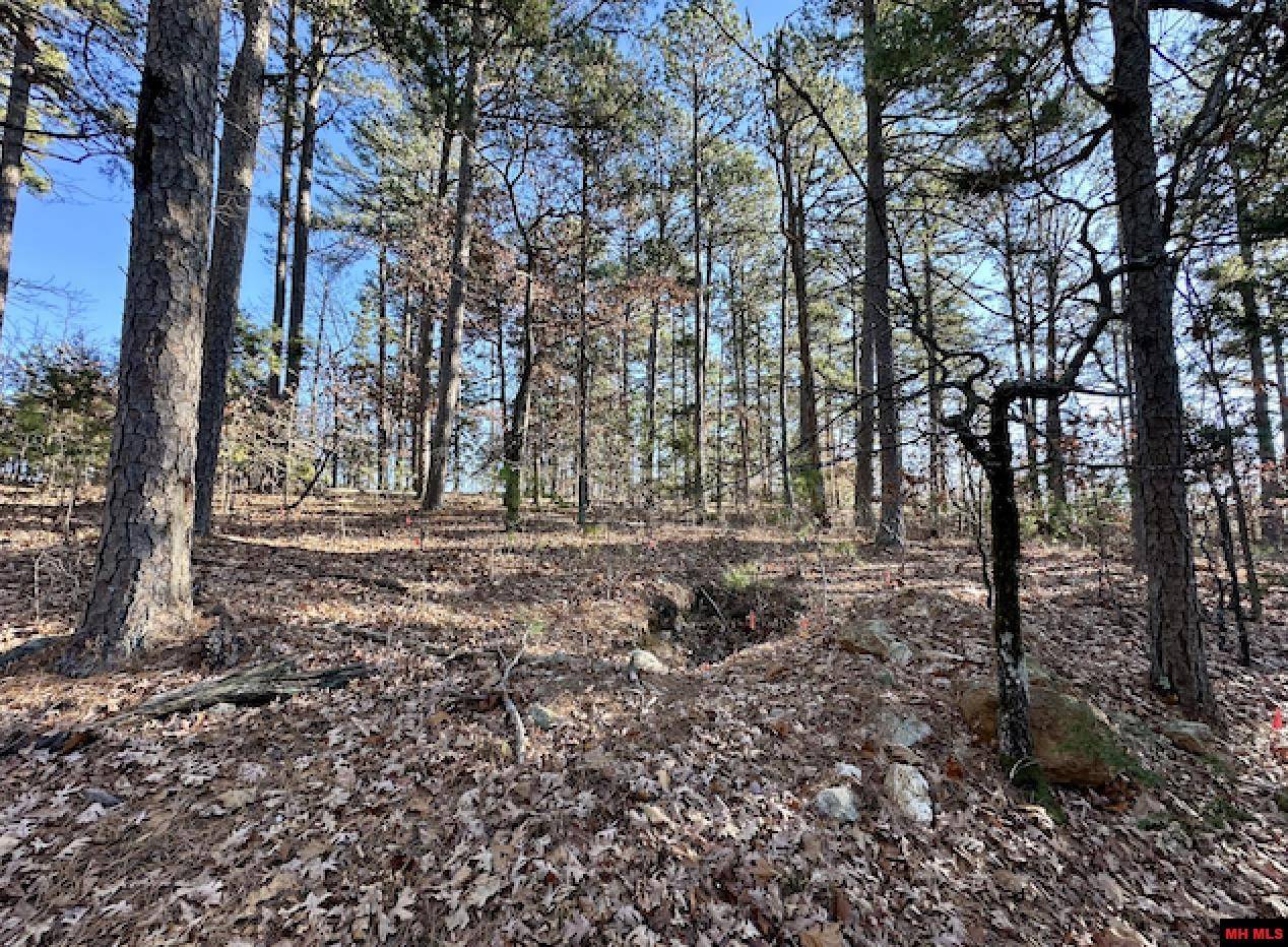 Mountain Home, AR 72653,Lot 40 SWISS ALPS LANE
