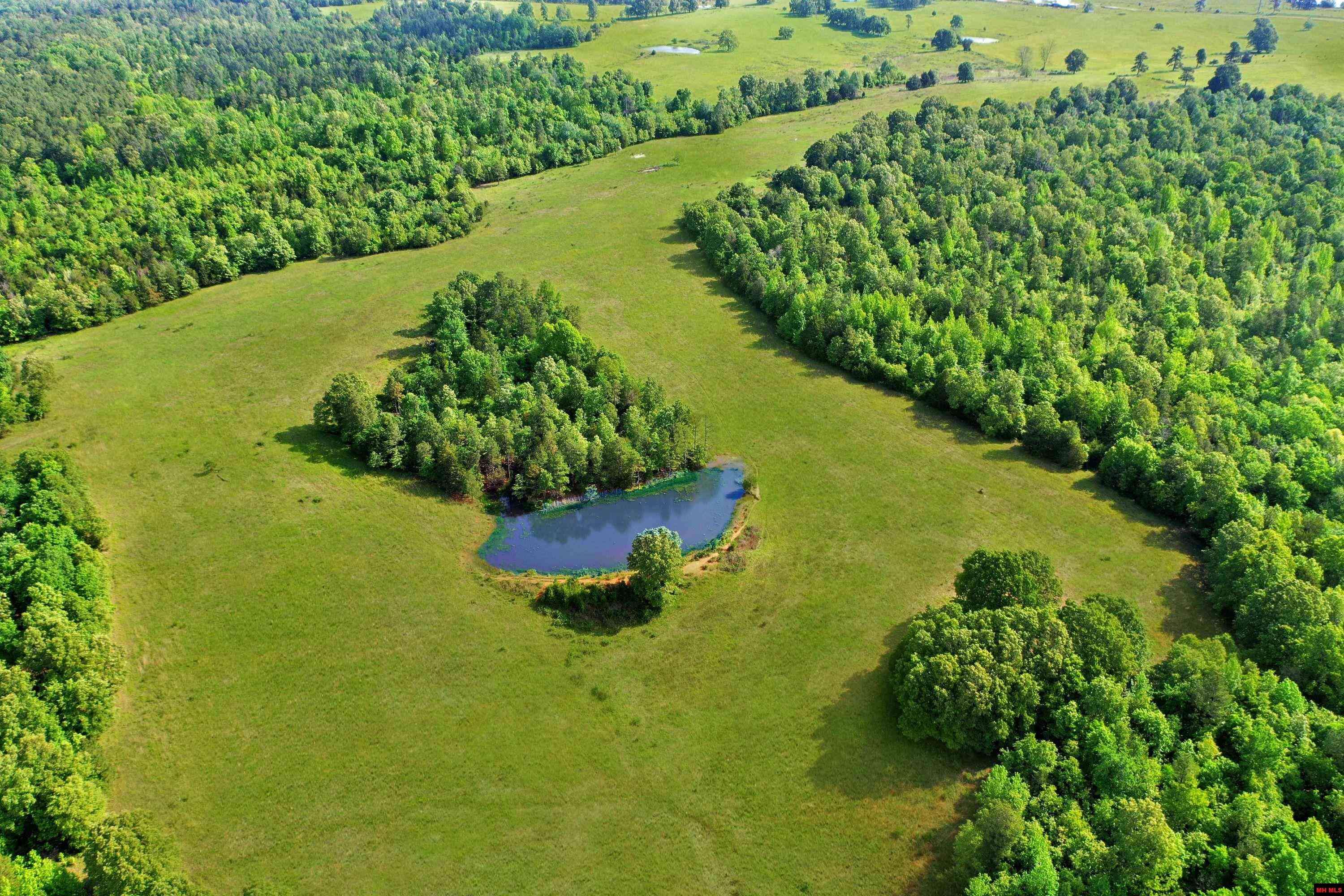 Pineville, AR 72566,001-08254-000 FROSTY KNAPP ROAD