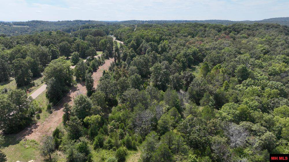 Mountain Home, AR 72653,Lot 13 CR 614