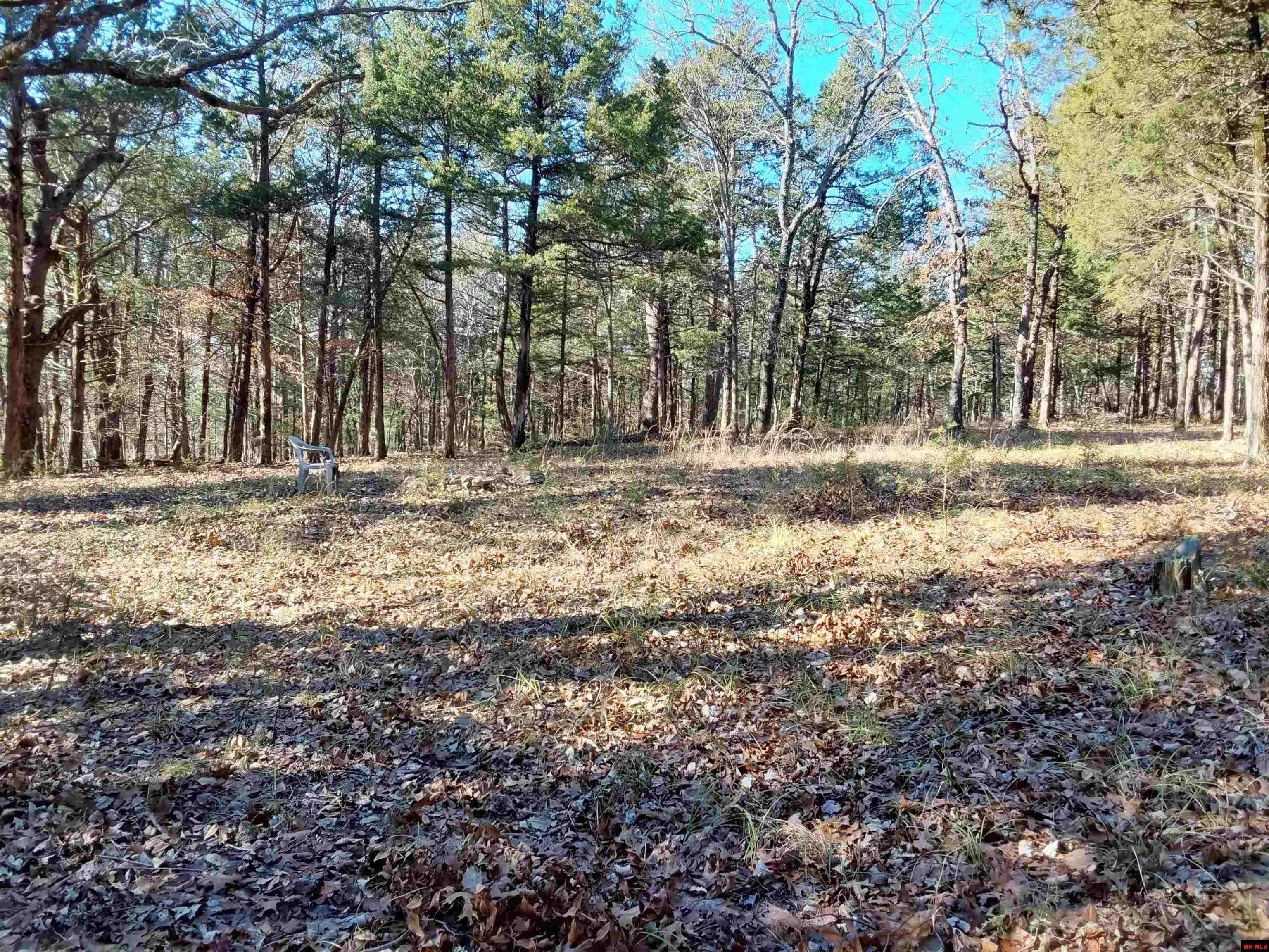 Oakland, AR 72661,Lot 1-4 MC 131
