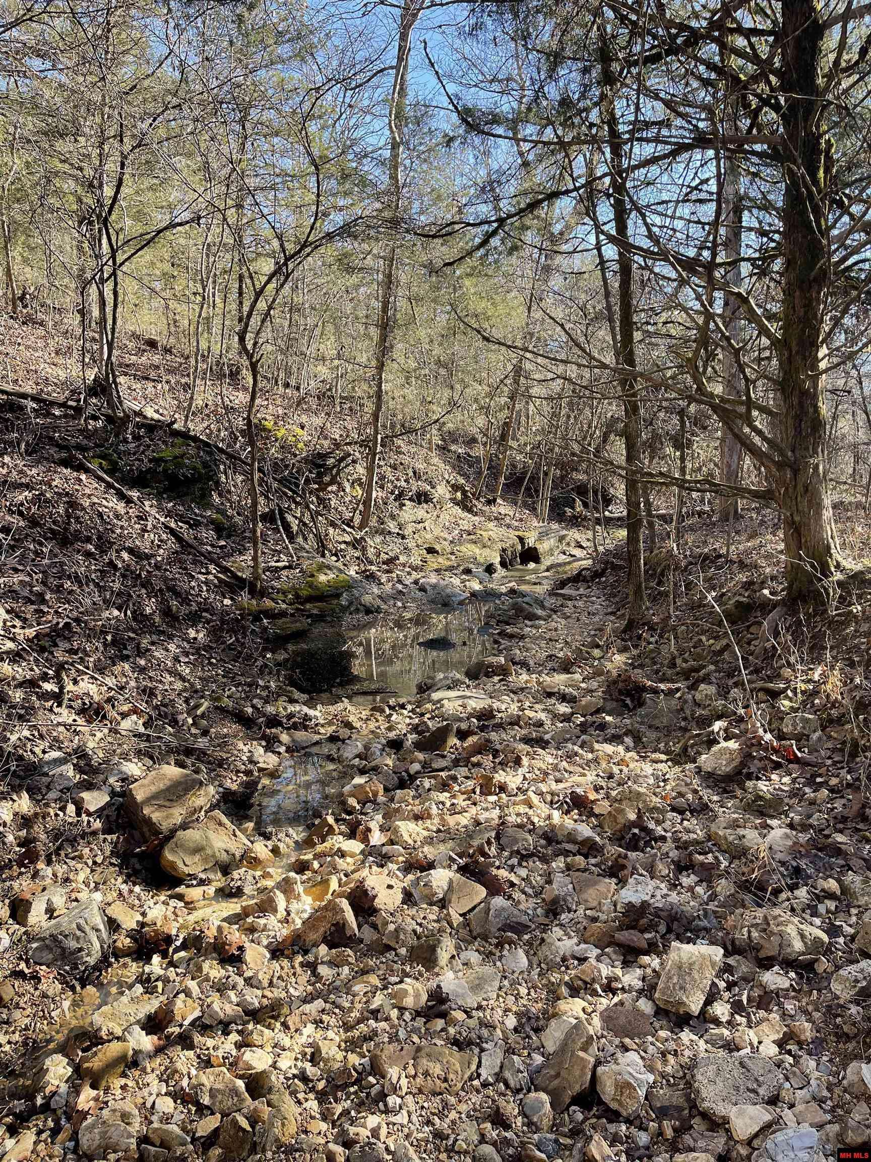 Gainesville, MO 65655,170614000000008 HWY 160