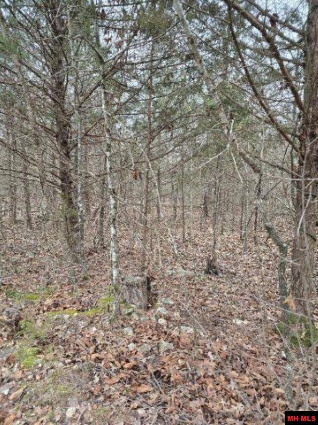 Elizabeth, AR 72531,554 CR 93